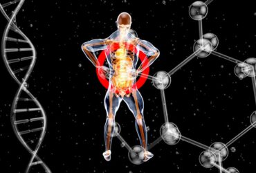 Buy Reta Peptide