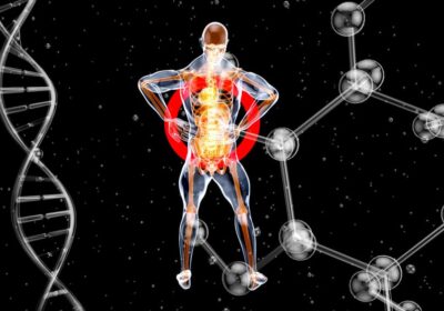 Buy Reta Peptide